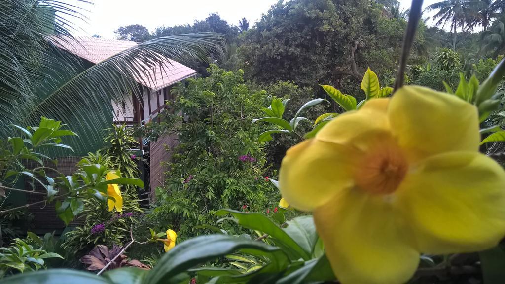 Recanto Solar Da Paz Velha Boipeba Екстериор снимка